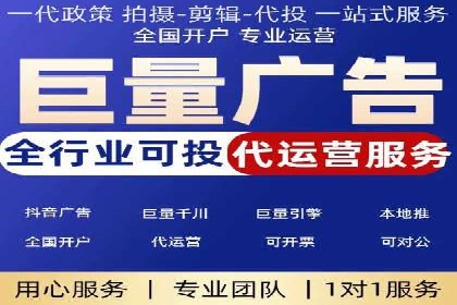 竞价广告在XX行业的成功应用案例